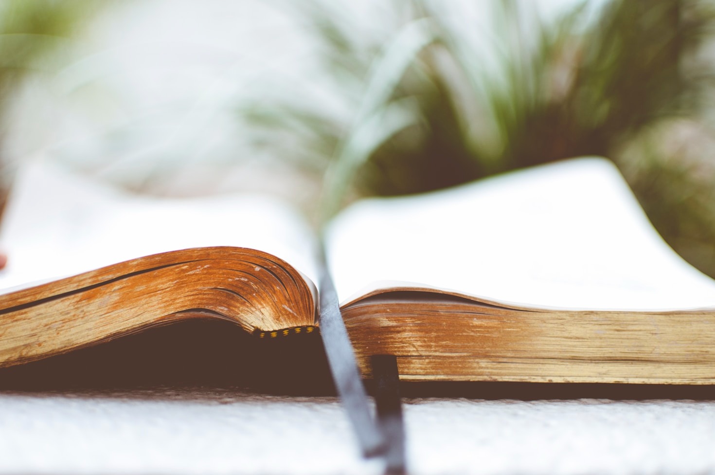 Como Participar de Nossas Atividades Religiosas